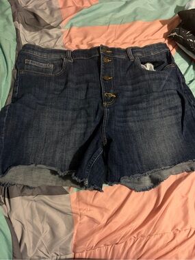 Lee Dark Blue Button-Fly Raw-Hem Denim Shorts